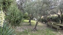 Inaugurazione Polo Semeria-Giardino della struttura