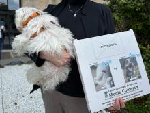 iniziativa per adozione canile