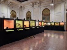 Mostra Serpenti-Teche