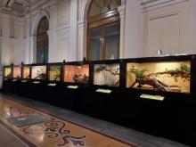 Mostra Serpenti-Teche