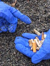 Una mano protetta da un guanto blu e "piena" di mozziconi appena raccolti