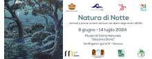 “Natura di Notte”, locandina