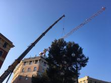 operazioni di smontaggio gru a Pegli