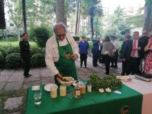 pesto madrid