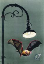 Pipistrello-F.Pratesi