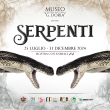 Mostra Serpenti-Locandina