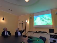 Sealife Care-Rolex Giraglia-Posidonia
