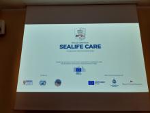 Sealife Care-Rolex Giraglia-Posidonia
