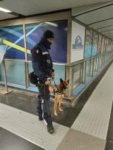 Un agente di Polizia Locale con il cane Maqui