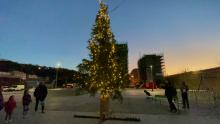 Natale Morandi