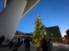 Natale Morandi
