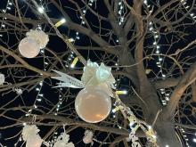 Natale Morandi