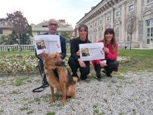 presentazione 2023