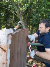 foto assessore gambino al lavoro