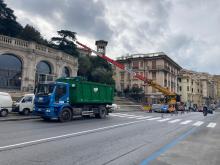 le operazioni di taglio dei cedri