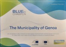 genova blue