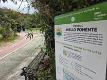 anello benessere ponente
