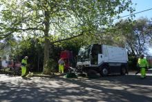 giornata della cura del territorio