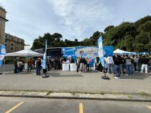 Truck lavoro