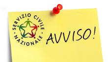 bando servizio civile