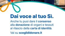 Logo campagna