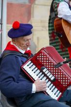 Fisarmonicista durante l'esibizione del Gruppo Folcloristico Città di Genova 