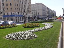 Aiuole