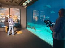 Backstage dentro Acquario