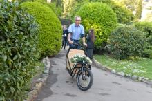 cargo bike in un vialetto dei parchi 