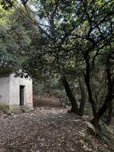 bosco dei frati