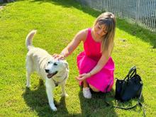 assessore corso accarezza cane bianco