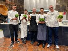 pesto madrid
