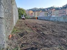 L'area appena sgomberata dalla vegetazione spontanea: l'intervento propedeutico all'avvio delle lavorazioni vere e proprie