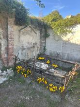 cimitero murta