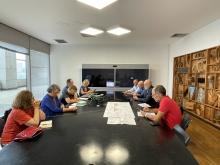 consulta del verde