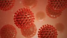 virus al microscopio