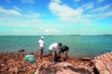 "Custodi del futuro" al lavoro per ripulire la spiaggia