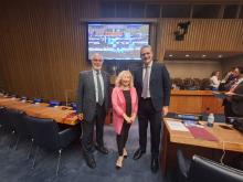 delegazione Onu