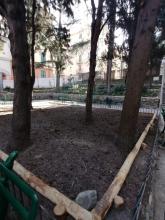 giardini ariosto