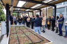Modello di pensilina verde presentato a Sanremo per il progetto PRiSMaMED2) Modello di pensilina verde presentato a Sanremo per il progetto PRiSMaMED2)