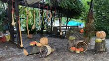Mostra della Zucca di Murta-Precedenti edizioni