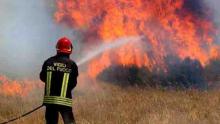 incendio boschivo