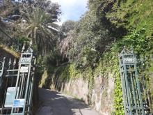 ingresso Villa Banfi