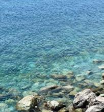 mare