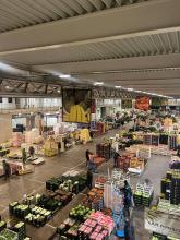 visita Terrile mercato Bolzaneto