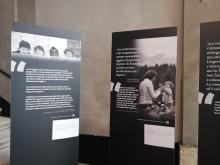 mostra affido