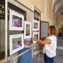 mostra a tursi sul roseto