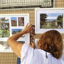 mostra a tursi sul roseto