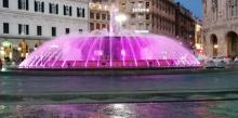 servizio pink point