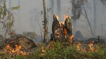 incendio boschivo